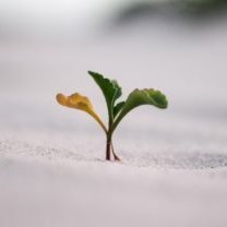 realTobs's profile picture. 