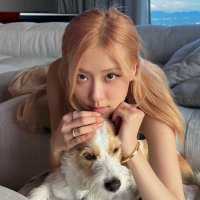 쿠키 (@fhwpzbxm) 's Twitter Profile