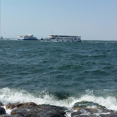 zgrer82707366's profile picture. 