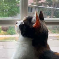 Ms. O (@o77569391o) 's Twitter Profile