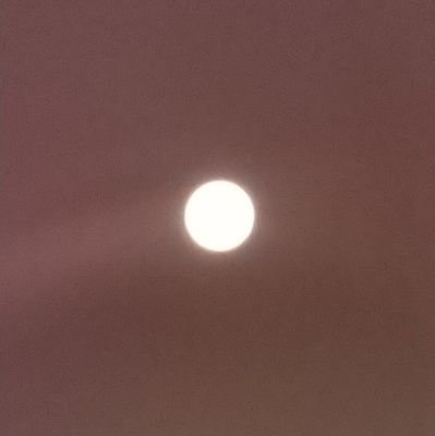 meme_mental's profile picture. はじめまして。広汎性発達障害とうつ病の者です。
ハッシュタグは感謝をこめて。

#発達障害   #ASD   #うつ病　#介護職