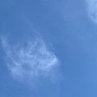 nagumo (@nagumo0516) 's Twitter Profile