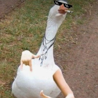 bomboinx's profile picture. 