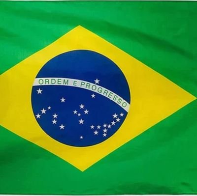 Patriota, bolsonarista. Brasil acima de tudo, Deus acima de todos. Pátria e família 🇧🇷🇧🇷