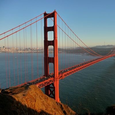 dareala_027's profile picture. #BeatLA
Fan of the #49ers #SFGiants #Warriors