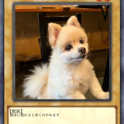 MZN8SvJwVp5AcDT's profile picture. 話はキャッチボールするものだと思います。