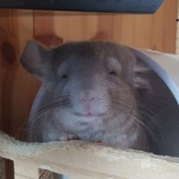 くさ (@jhyo3000) 's Twitter Profile