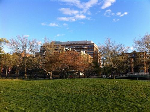 BUBrownstoneRHA's profile picture. We're the Brownstone Residence Hall Association at Boston University. Dedicated to making your BU Housing experience the best it can be =]