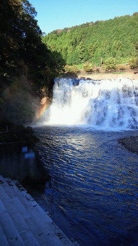 stepstep1021's profile picture. 