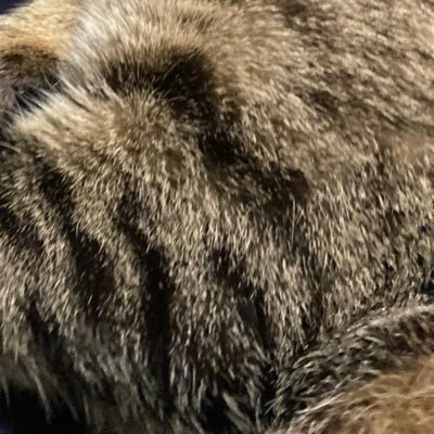 62HBXnzvNe1tCRZ's profile picture. お笑い用アカウント。主に🗽と👬と東京よしもと。コンビ名は敬称略