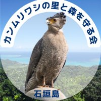 石垣島 カンムリ ワシの里と森を守る会 (@kanmuri_washi) 's Twitter Profile Photo 石垣島 カンムリ ワシの里と森を守る会 (@kanmuri_washi) 's Twitter Profile Photo