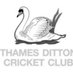 TDCC (@ThamesDittonCC) Twitter profile photo