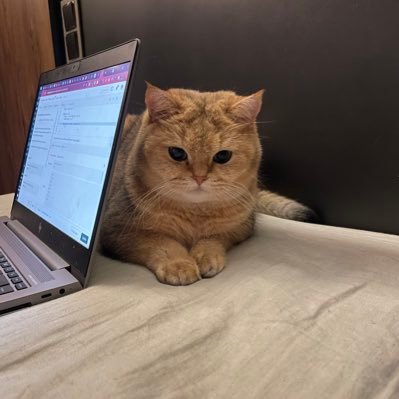 shrinkSoup's profile picture. emotionally focused girl