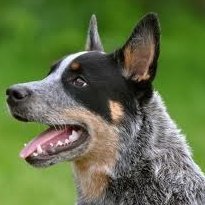 Seven8006's profile picture. Random person