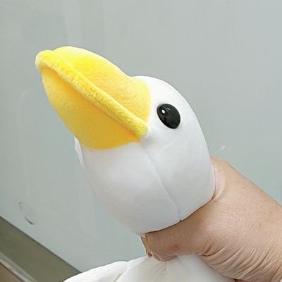 ポプコン🌽さんのプロフィール画像