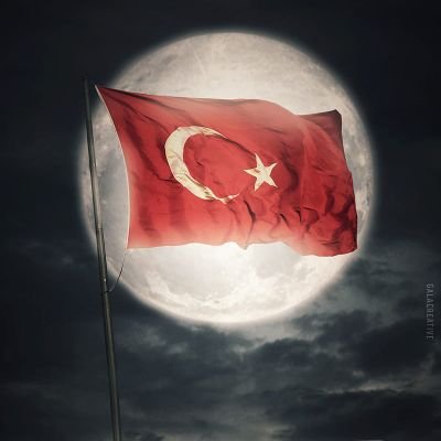 turk1023's profile picture. 