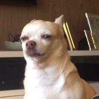 욕망의 항아리 (@omgod1018) 's Twitter Profile