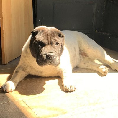 _jesus_666__'s profile picture. 