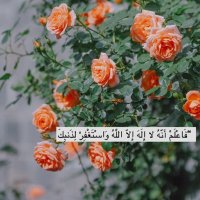 مَنآل عَفّآ الله عَنْهَآ (@mnool121212) Twitter profile photo