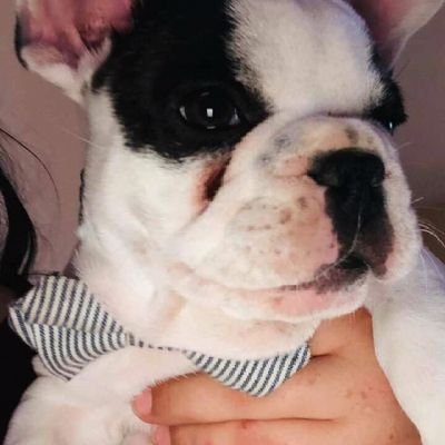 EllenGargcia's profile picture. 