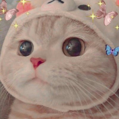 pwnchs_pch's profile picture. 