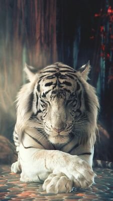 LennyDani's profile picture. 