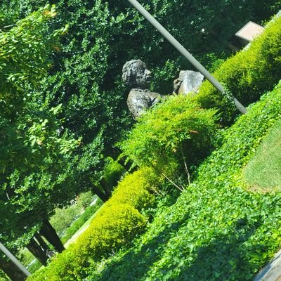 bramirez498's profile picture. Christian, Mom of 4, community college leader and advocate, excercise enthusiast🙂