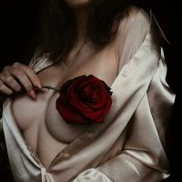 Sensual Mind (@sensualmind2) 's Twitter Profile