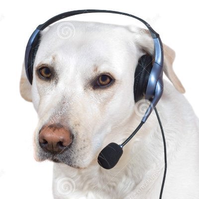 flecha_mazza's profile picture. ADRENALINA