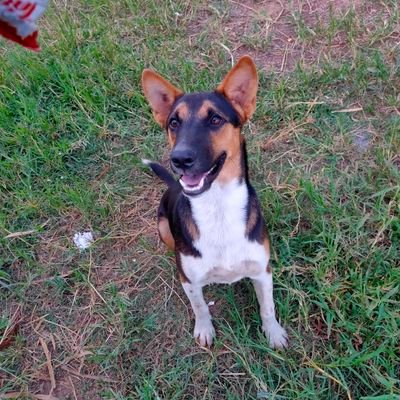 Ob30646433's profile picture. D