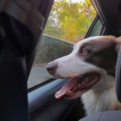 julinha792's profile picture. .
sei la
alguma coisa