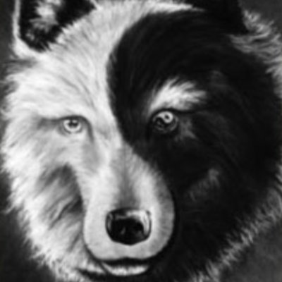 2wolveswolves2's profile picture. one-man wolf-themed novelty account