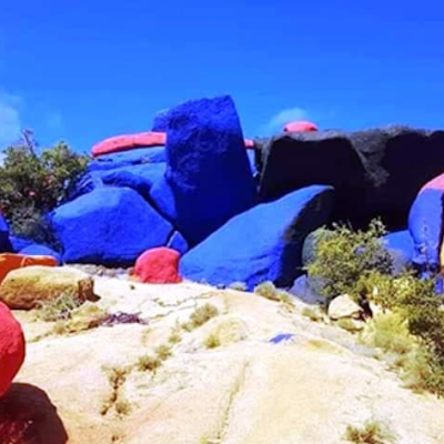 MouhtafilAziz's profile picture. جمال ورقي الطبيعة