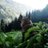 Himachalilife's profile image