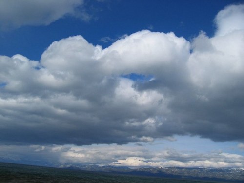 Sierrakayo's profile picture. 