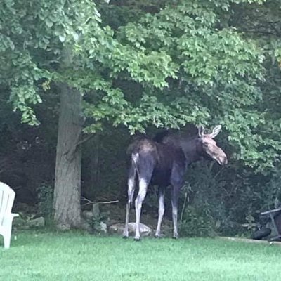 MikeKeksey's profile picture. Christian believer in Christ. Retired business executive love of family, golf,fish,garden, hike here to make friends  republican supporter, don’t dm until follo