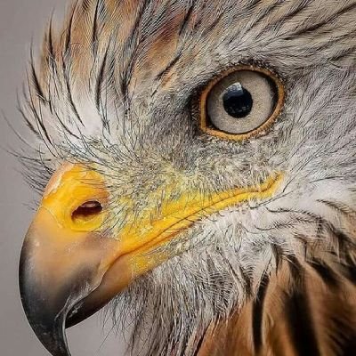 سبحان الله وبحمده سبحان الله العظيم