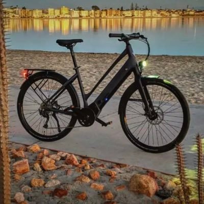 I use electric bikes for commuting and/or exercise every single day!