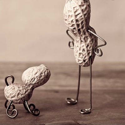 Reecemyass's profile picture. // papaya is a cute word // edtwt //sw:67kg gw:45kg //