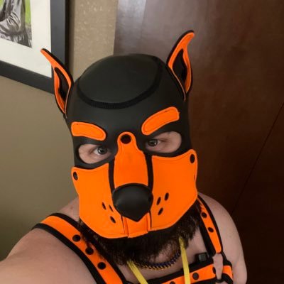 Just your run of the mill cub/puppy from NE Ohio looking to see what kinda trouble I can get into on my way through life. love my gear/jocks/cages!