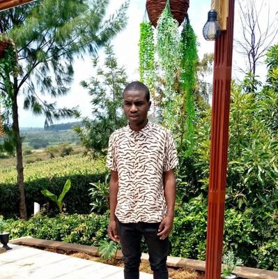 BrianMugoiya's profile picture. 