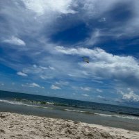 ??? (@walesfhs) 's Twitter Profile Photo ??? (@walesfhs) 's Twitter Profile Photo