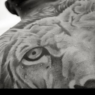 DavidD40979458's profile picture. 