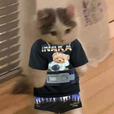 0xania's profile picture. i know nothing.