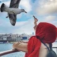 ام حيدر النعيمية (@mdwn1236706911) 's Twitter Profile