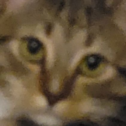 Dr_Puggo's profile picture. 