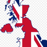 Unionist bear (@unionist_bear) Twitter profile photo