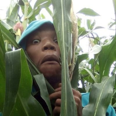 MrTracka's profile picture. Investigator • Preservation and Peace