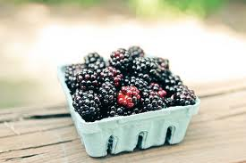 LongviewMarket's profile picture. We operate the Longview Market with the goal of supporting farmers, connecting consumers, educating our communities & celebrating local food.