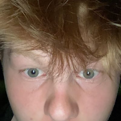 mgreeves1312's profile picture. 